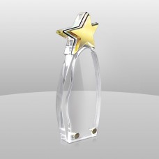 958  3D Star Award